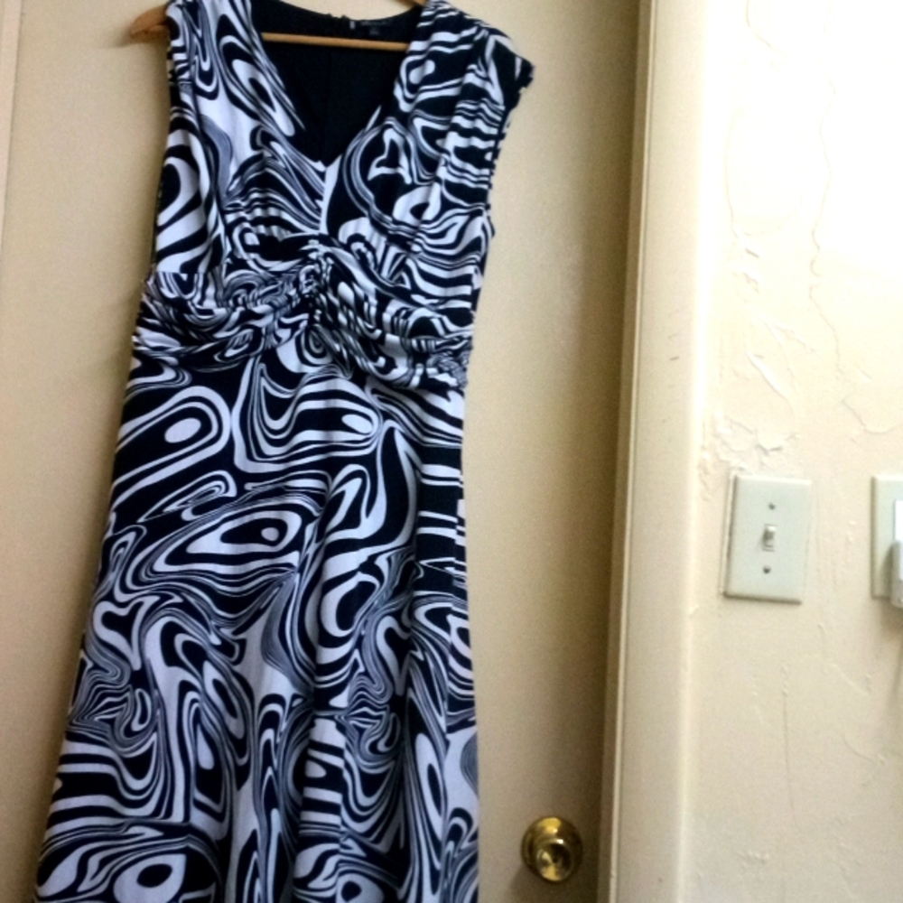 Anne Klein zebra print dress,